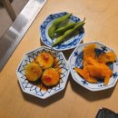 톤보리