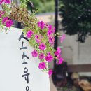 해를여는펜션 이미지