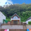 편안하개 | 양평 애견 동반 독채펜션 편안하개 내돈내산 후기 | 강아지사우나, 수영장