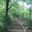 《 화요걷기-청하》 9월 8일 화요일 안산자락길 이미지