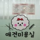 이뻐질개 이미지