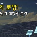 대천 태양광발전소 이미지