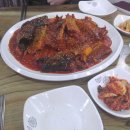 명태이야기 이미지