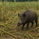 포항시 남구청 이미지