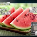 수박씨 이미지
