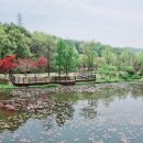 황학산수목원 이미지