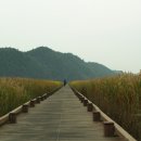 순천만여행스케치 이미지