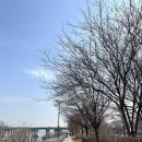 이디야커피 (EDIYA COFFEE) | 한강 반포 잠원지구 이디야 커피 입성! Ediya Coffee 로얄마리나 한강점 오픈! (feat 서래마을 월화당)