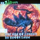 삼족오 이미지