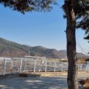 청통면사무소 이미지