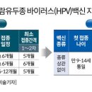 그래픽바이러스 이미지