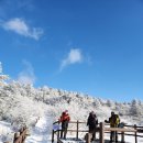 2024.명산순례 지리산 이미지