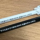 허외과의원 | 2025년 제4회 동물보건사 자격시험 합격 후기 및 팁