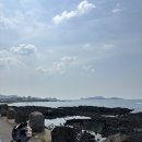 3월 제주 힐링여행 &#39;제주도 환상전기자전거&#39; 대여 후기