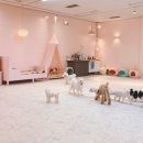 놀아줄개 이미지