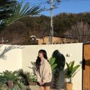 제나스테이 이미지