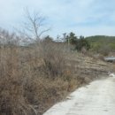 중앙초등학교화남분교 이미지