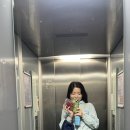 [25.2.~3.] 호주 멜버른 여행기(2) 퍼핑빌리와 사사프라스, 호주의 동물들 - 마루 동물원&amp;필립 아일랜드