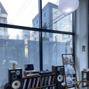 봉산동 강아지 이미지