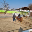 우농타조농장 이미지