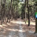 은주네민박 이미지