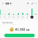 코코드림 이미지