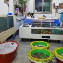 부강수산 이미지