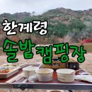 한계2리재내마을 | 강원도계곡캠핑장 한계령솔밭야영장에서 차박하고 왔어요! (강원도인제캠핑장)
