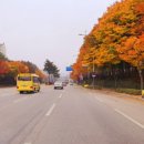 맑은소리피아노교습소 - 서천군 사곡로 12-16 | 맑은소리피아노교습소