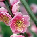 한라아파트 이미지