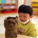 서산초병설유치원 이미지