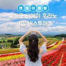 삿포로투어