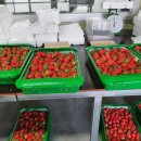 정병화 농장 이미지