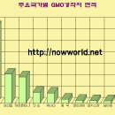 전세계 GMO 경작지 면적 10억 ha 로 중국 영토와 맞먹다 이미지