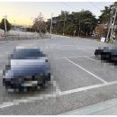 초당축산 이미지