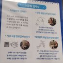 서울성모병원 안과 이용팁 시야검사 산동 검사 운전 망막검사 검사방법 소요시간 유의사항 루푸스 환자...