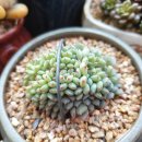 동미농장 이미지