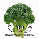 [제주 대정] 돌고래 투어 &amp; 문도지오름 산책 | 오소소 게스트하우스