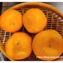 귀한족발신제주점