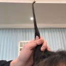 강삼지 강아지 미용실 | 클리닉받고 살아난 머릿결, 인생 미용실 야탑 [룹헤어]