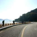 세포삼거리 이미지