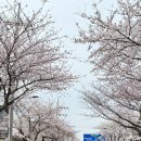 호근서호로 이미지