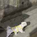 언제나너와 이미지