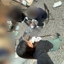 더포레스트 이천 이미지