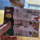 나비부화장 | [발리여행]아이와 가볼만한 나비공원 ! KEMENUH BUTTERFLY PARK 방문 후기