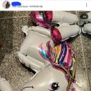 종석 이미지