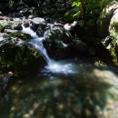 숲으로 가는 길 이미지