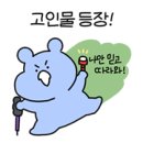듀에스테틱