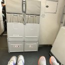 Day1 대한항공 이코노미 엑스트라 레그룸, 엘에이공항 입국, 옐로라이드 한인택시 예약방법, 이용후기