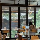 렉터스 라운지 | 홍대 북카페 렉터스 라운지 방문후기ੈ✩‧₊˚